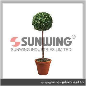 Sunwing vente chaude préservé boules de buis buxus boule de buis